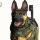 Call of Duty: Ghosts traz cachorros para a próxima geração!