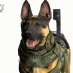Call of Duty: Ghosts traz cachorros para a próxima geração!